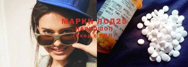 сатива Шадринск