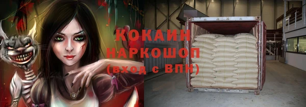 молекула духа Щигры