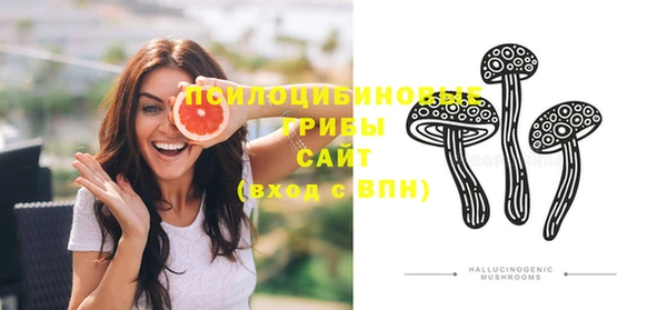 сатива Шадринск