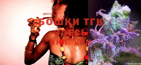 дживик Шали