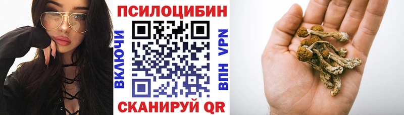 Купить закладки  Полевской  Галлюциногенные грибы Magic Shrooms 